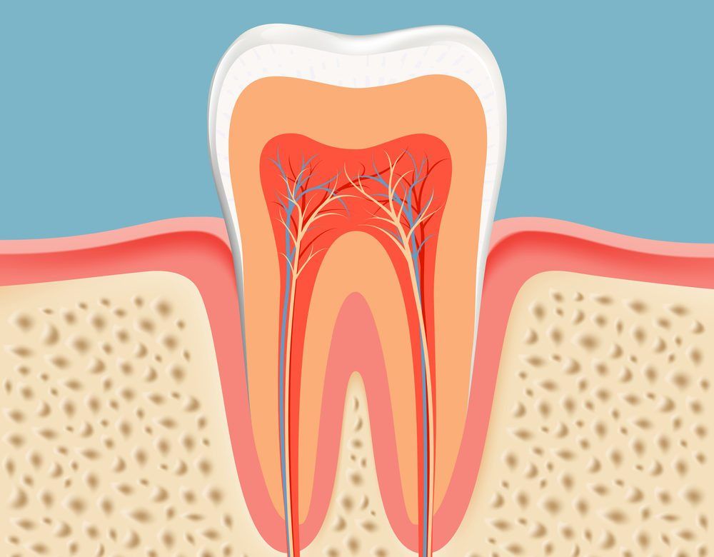 Pulpectomy Procedure Meridian Id Bridgetower Dental